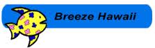 Breeze_Hawaii_Logo.jpg