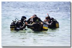 open_water_dive.jpg